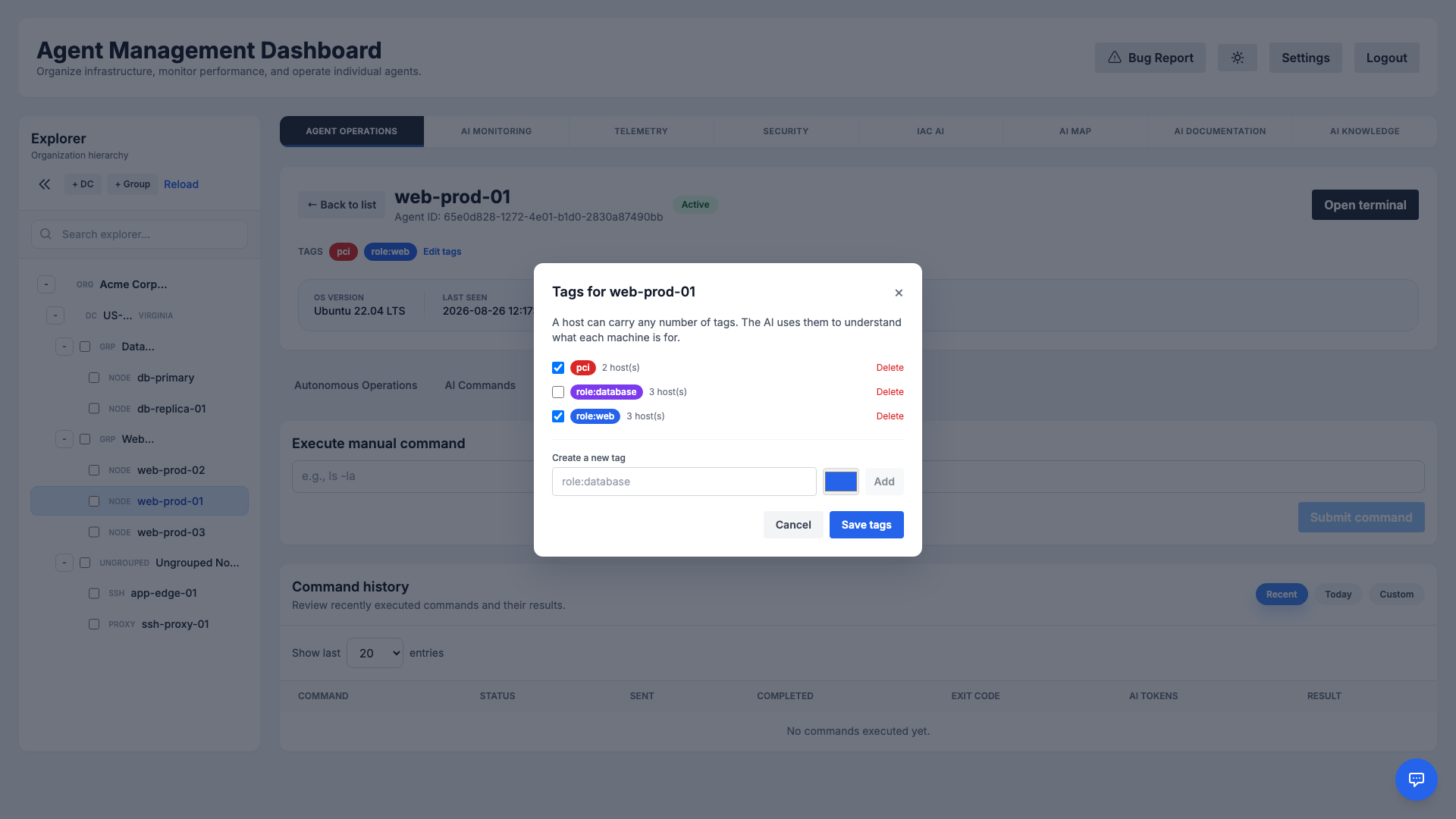 The tag editor for a host, listing the organization's tags with host counts and a field to create a new one